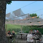 Podere Le Vigne 4* Radda in Chianti