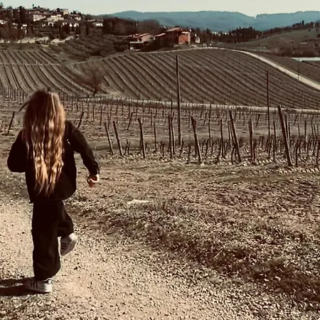 Hotel Podere Le Vigne Radda In Chianti