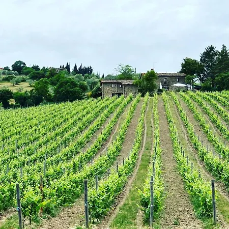 Podere Le Vigne Radda In Chianti