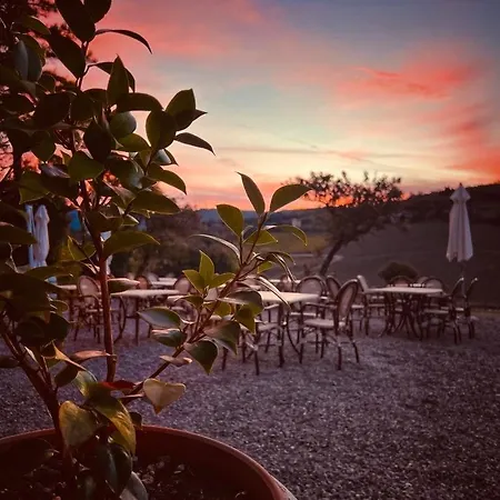 Podere Le Vigne 라다인키안티