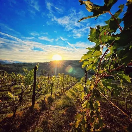 호텔 Podere Le Vigne 라다인키안티