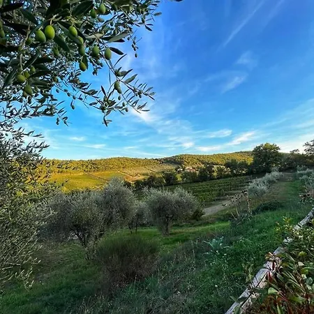 Podere Le Vigne