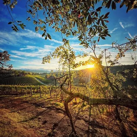 호텔 Podere Le Vigne 라다인키안티