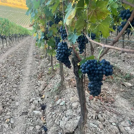 Podere Le Vigne 라다인키안티
