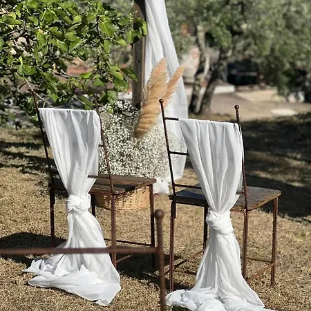 Podere Le Vigne 호텔 라다인키안티