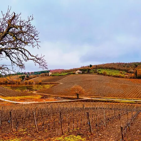 Podere Le Vigne 4* Radda in Chianti