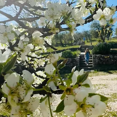 Hotel Podere Le Vigne 4*