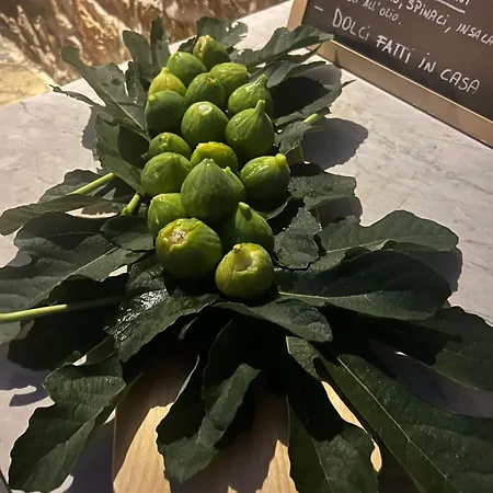 Podere Le Vigne 4*